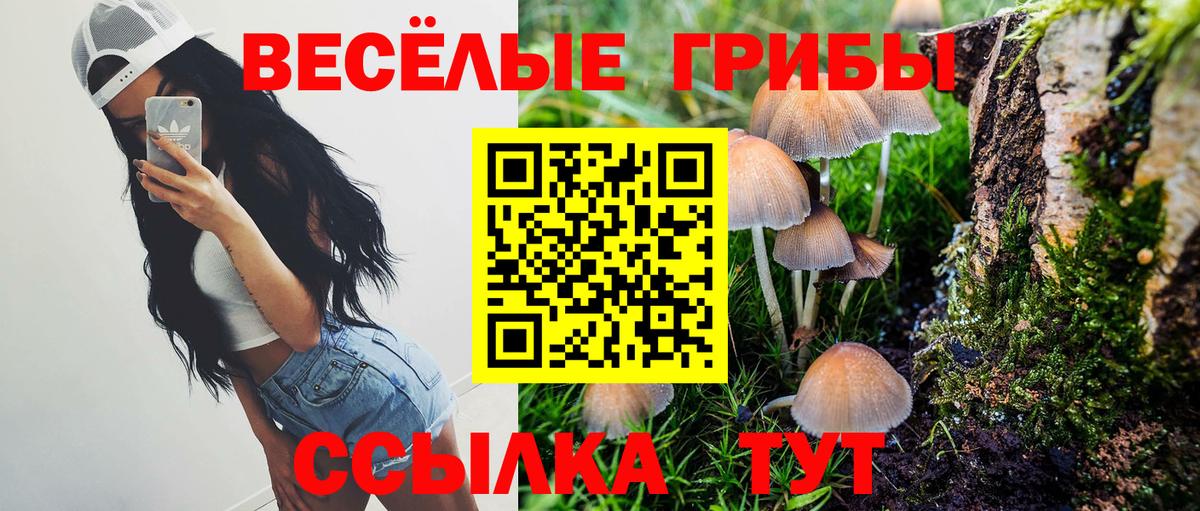 Галлюциногенные грибы Cubensis  Вход с VPN  Псилоцибиновые грибы мухоморы  Жигулёвск 